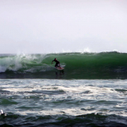 maie-surfilede-remonitrice